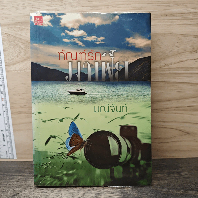 ทัณฑ์รักมาเฟีย - มณีจันท์ รูปที่ 1