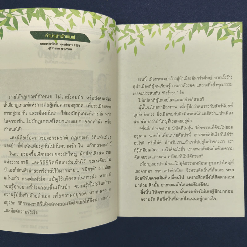 ✔️แก้วกลางดง - ทมยันตี รูปที่ 6