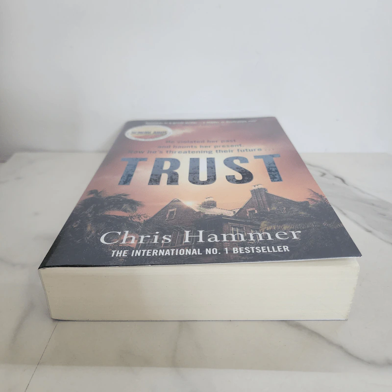 Trust - Chris Hammer รูปที่ 5