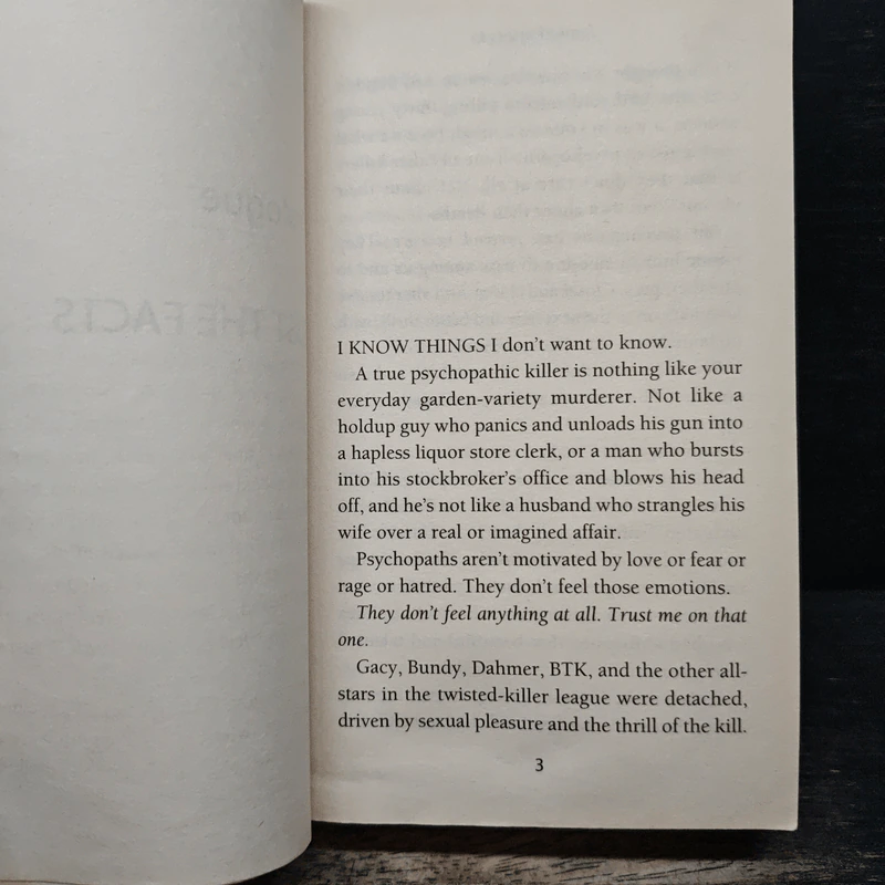 Swimsuit - James Patterson รูปที่ 7