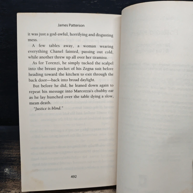 Swimsuit - James Patterson รูปที่ 8