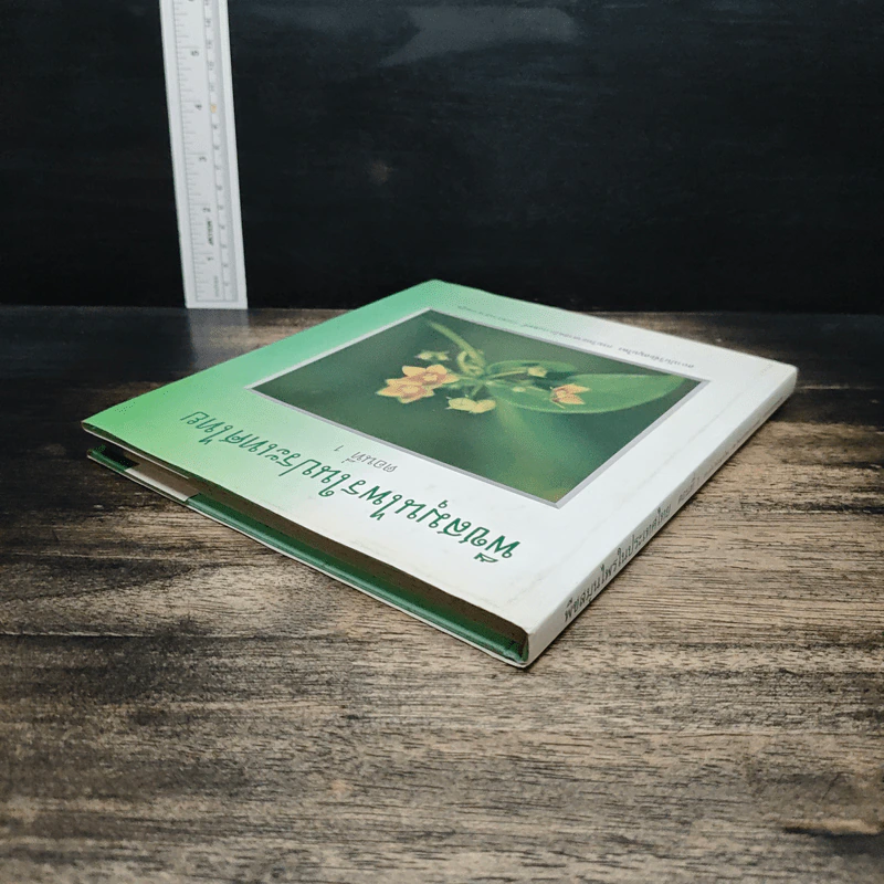 พืชสมุนไพรในประเทศไทย เล่ม 1 รูปที่ 5