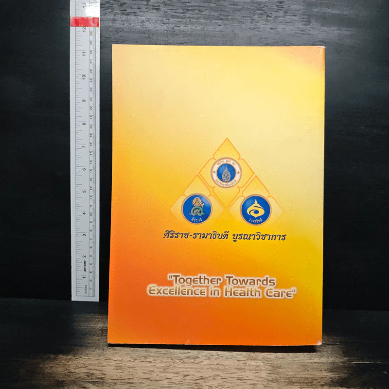 Together Towards Excellence in Health Care รูปที่ 2
