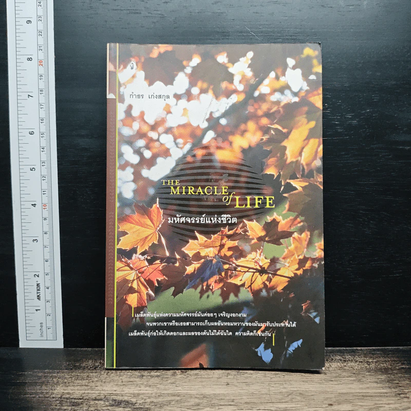 The Miracle of Life มหัศจรรย์แห่งชีวิต - กำธร เก่งสกุล รูปที่ 1