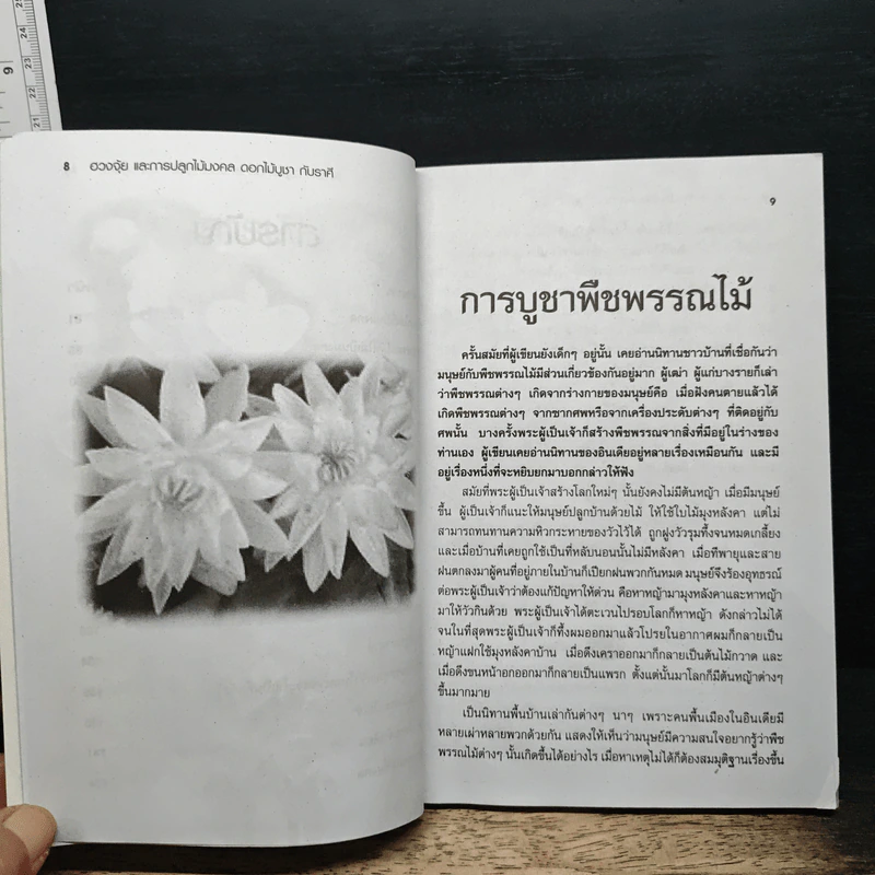 ไม้มงคล ดอกไม้บูชา กับราศี - อังคาร ปัญญาศิลป์ รูปที่ 7