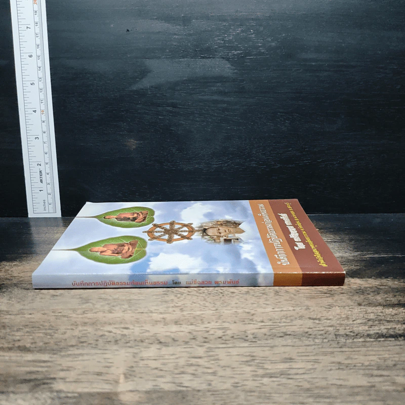 บันทึกการปฏิบัติธรรมก่อนเห็นธรรม - แม่ชีฉลวย พรมพันธ์ รูปที่ 3
