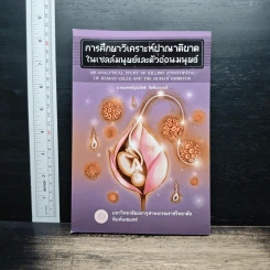 การศึกษาวิเคราะห์ปาณาติปาตาในเซลล์มนุษย์และตัวอ่อนมนุษย์ - นายแพทย์ปุณวัสส์ กิตติมานนท์ รูปที่ 1