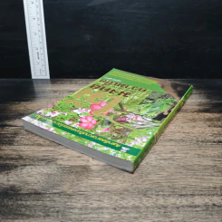 ไม้มงคลกับตำนานความเชื่อ - ณรงค์ มูลคำ รูปที่ 4