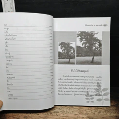 ไม้มงคลกับตำนานความเชื่อ - ณรงค์ มูลคำ รูปที่ 8