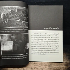 ขุมทรัพย์ทองคำในประเทศไทย - ทรงสมัย สุทธิธรรม รูปที่ 8