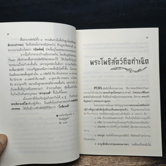 พุทธกำเนิด - ณวมพุทธ รูปที่ 7