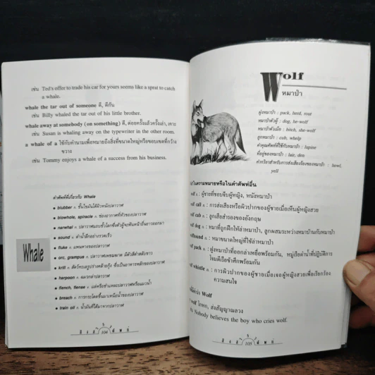 สิงสาราสัตว์ - สรรเสริญ สุวรรณประเทศ รูปที่ 9