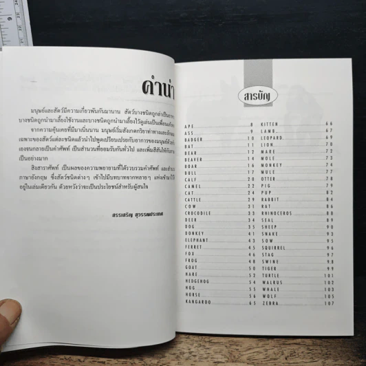 สิงสาราสัตว์ - สรรเสริญ สุวรรณประเทศ รูปที่ 7