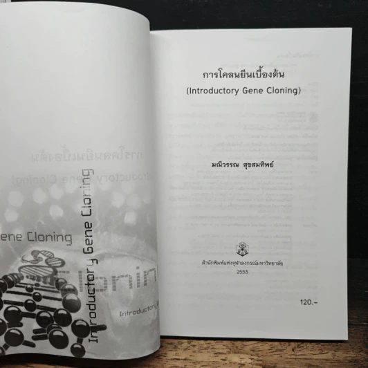 การโคลนยืนเบื้องต้น - มณีวรรณ สุขสมทิพย์ รูปที่ 6