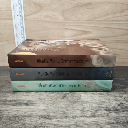 ตื่นเสียทีจะไม่มีทายาทแล้ว! 3 เล่มจบ - เทียนหรูอวี้ รูปที่ 3
