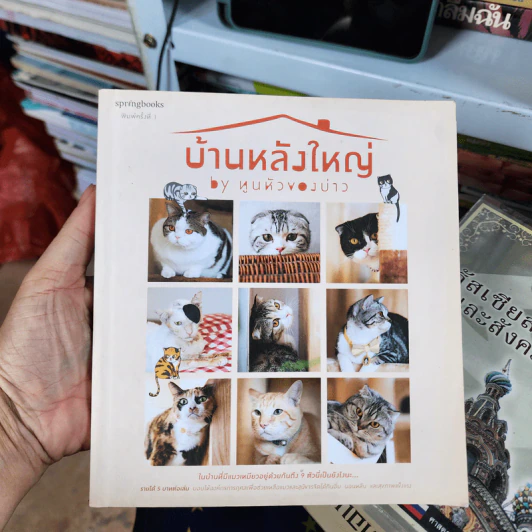 บ้านหลังใหญ่ - ทูนหัวของบ่าว รูปที่ 1