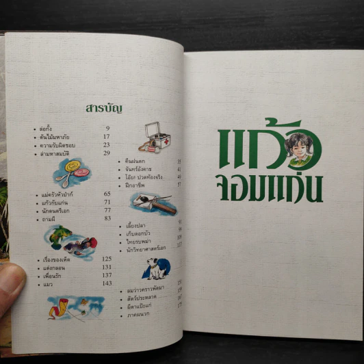 แก้วจอมแก่น - แว่นแก้ว รูปที่ 5