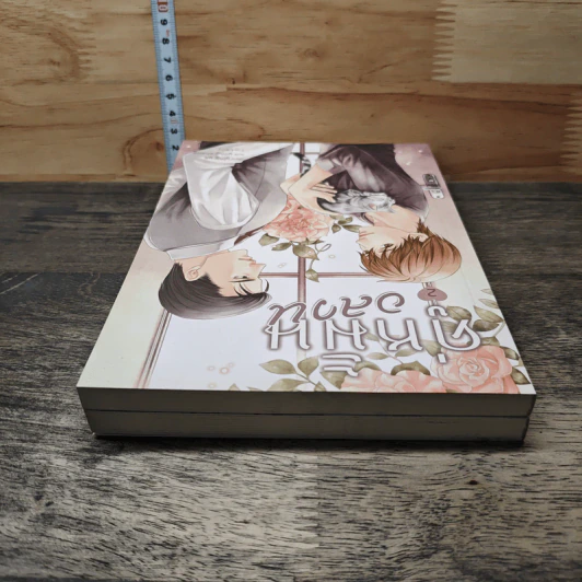 คู่หมั้นอลวน วิวาห์อลเวง เล่ม 1-2 - Ying Ye รูปที่ 5
