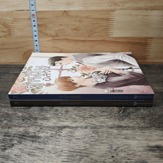 คู่หมั้นอลวน วิวาห์อลเวง เล่ม 1-2 - Ying Ye รูปที่ 3