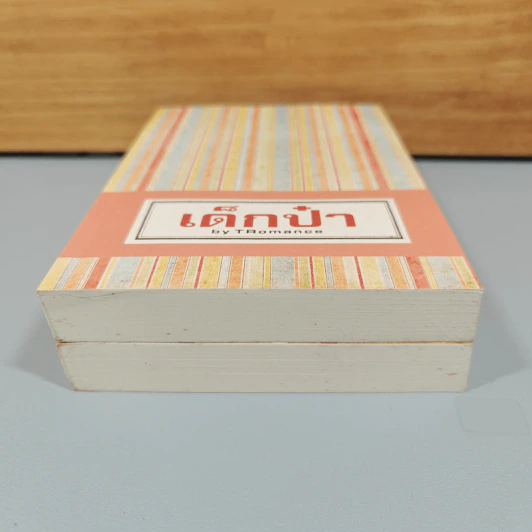 Boxset เด็กป๋า 2 เล่มจบ - TRomance รูปที่ 8