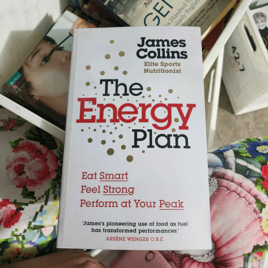 The Energy Plan - James Collins รูปที่ 1