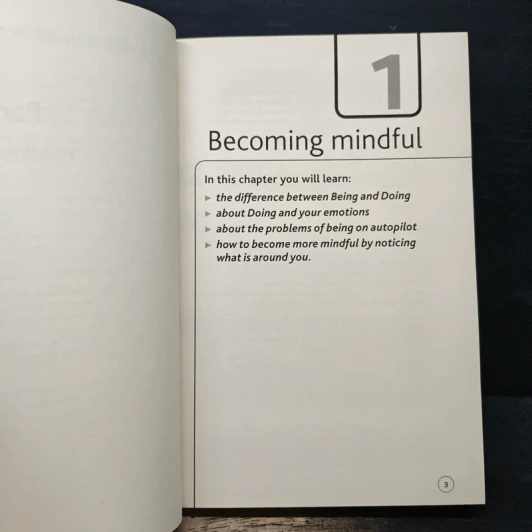 Teach Yourself Mindfulness Made Easy - Martha Langley รูปที่ 8