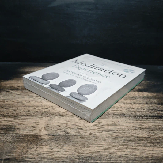 The Meditation Experience - Madonna Gauding รูปที่ 4