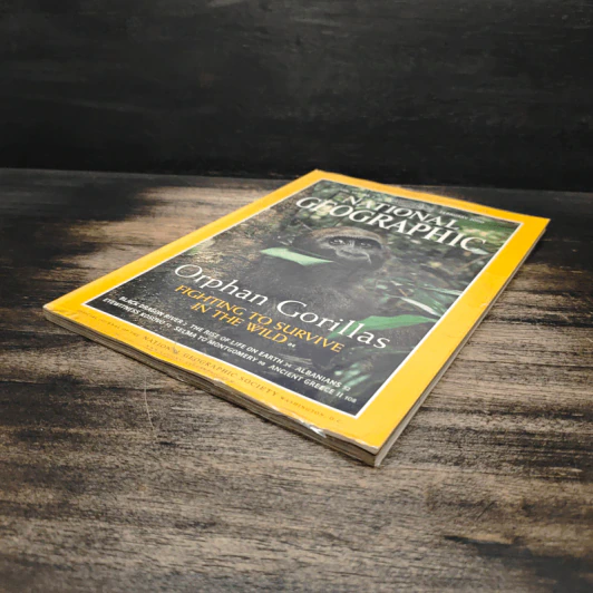NATIONAL GEOGRAPHIC Vol.197 No.2 February 2000 รูปที่ 4