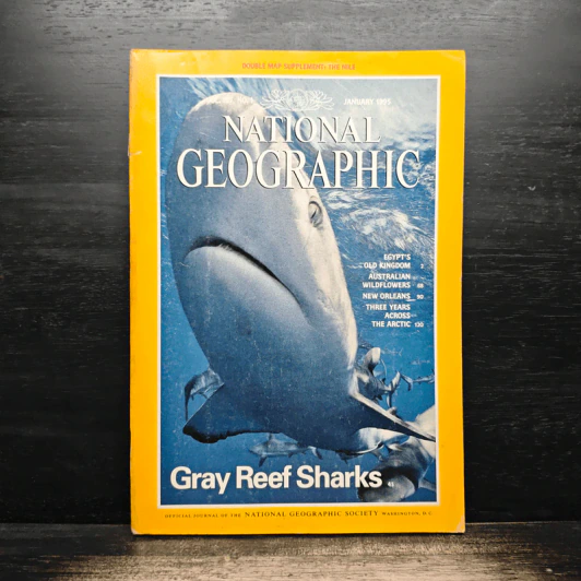 NATIONAL GEOGRAPHIC January 1995 รูปที่ 1