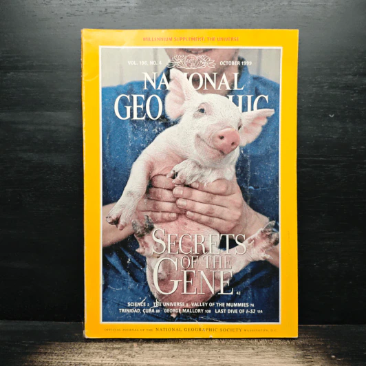 National Geographic Vol.196 No.4 Oct 1999 รูปที่ 1