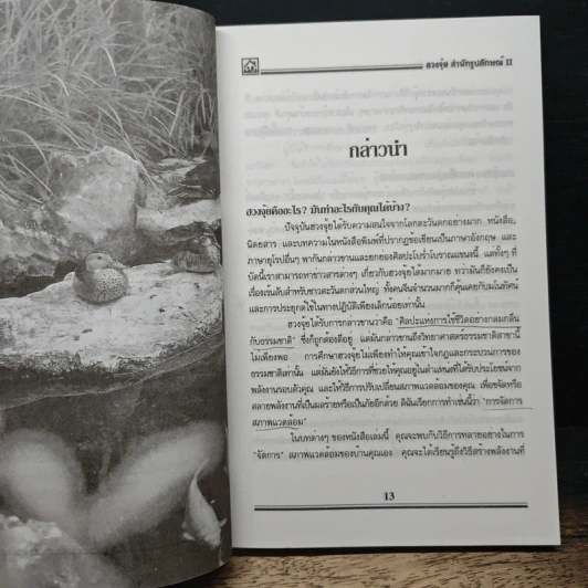 ฮวงจุ้ย สำนักรูปลักษณ์ II - อำนวยชัย ปฏิพัทธ์เผ่าพงศ์ รูปที่ 9