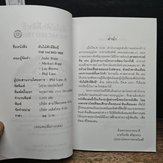 ต้นไม้ศักดิ์สิทธิ์ The Sacred Tree - ดร.ฟิล เลน รูปที่ 6