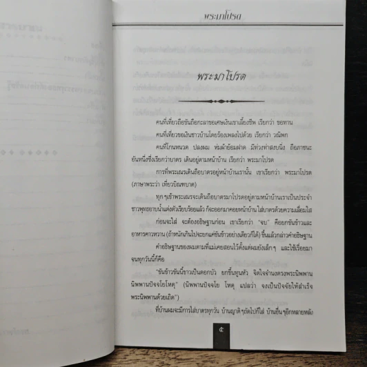 พระมาโปรด - รุจน์ มัณทิรา รูปที่ 8