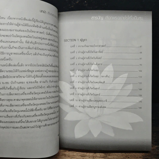 เลือกพระอย่างไรให้ใจเป็นสุข - ษรวัฒน์ รูปที่ 8