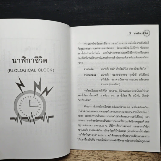 นาฬิกาชีวิต Biological Clock - อ.นวลฉวี ทรรพนันทน์ รูปที่ 8