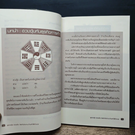 ดูฮวงจุ้ย ฮวงเจ๊ง จัดสำนักงาน-ร้านค้าให้ร่ำรวย - อนุสรณ์ ลี รูปที่ 10