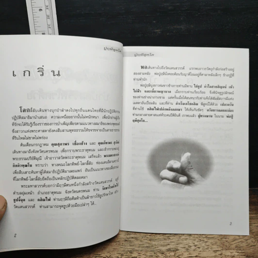 พ่อปู่ฤาษีศุภโต บำบัดสรรพโรคด้วย การจี้จุด และ เตโชกสิณ รูปที่ 7