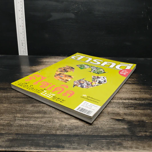 สารคดี ปีที่ 25 ฉบับที่ 289 มี.ค.2552 รูปที่ 4