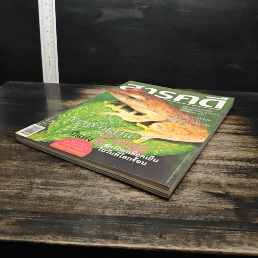 สารคดี ปีที่ 24 ฉบับที่ 286 ธ.ค.2551 รูปที่ 4