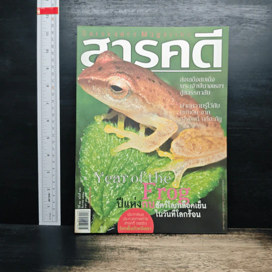 สารคดี ปีที่ 24 ฉบับที่ 286 ธ.ค.2551 รูปที่ 1