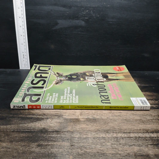 สารคดี ปีที่ 27 ฉบับที่ 318 ส.ค.2554 รูปที่ 3