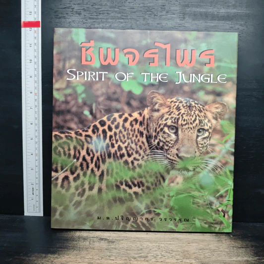 ชีพจรไพร Spirit of the Jungle รูปที่ 1