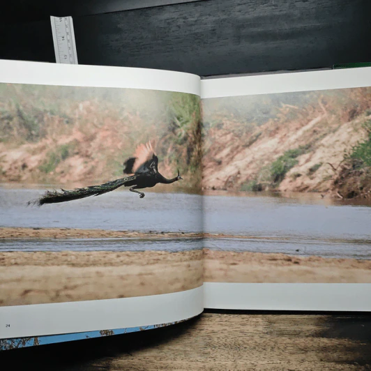 ชีพจรไพร Spirit of the Jungle รูปที่ 10