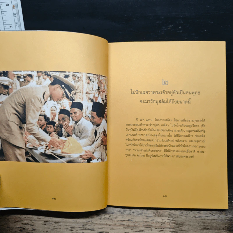 ในหลวงของฉัน หนังสือประมวลภาพแห่งความทรงจำของพสกนิกรชาวไทย รูปที่ 9