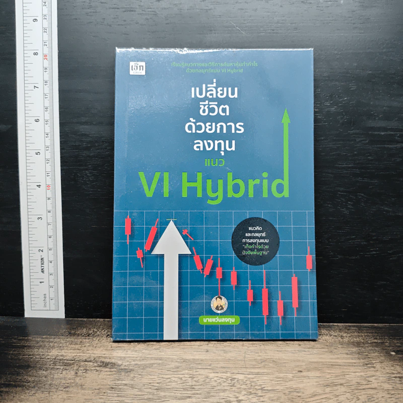 เปลี่ยนชีวิตด้วยการลงทุนแนว VI Hybrid รูปที่ 1