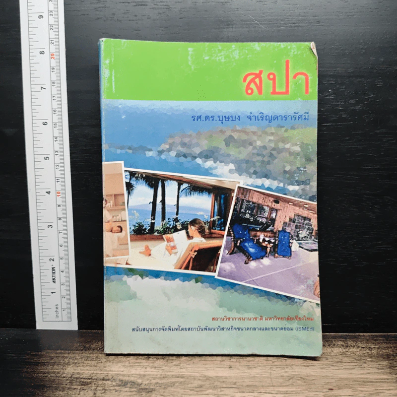 สปา - รศ.ดร.บุษบง จำเริญดารารัศมี รูปที่ 1