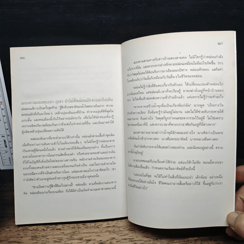 เมืองทดสอบบาป - Paulo Coelho (เปาโล คูเอลญู) รูปที่ 8