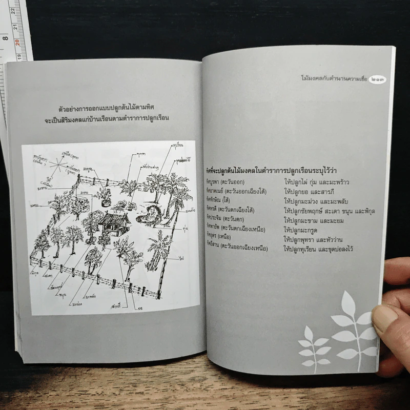 ไม้มงคลกับตำนานความเชื่อ - ณรงค์ มูลคำ รูปที่ 9