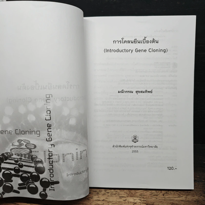 การโคลนยืนเบื้องต้น - มณีวรรณ สุขสมทิพย์ รูปที่ 6
