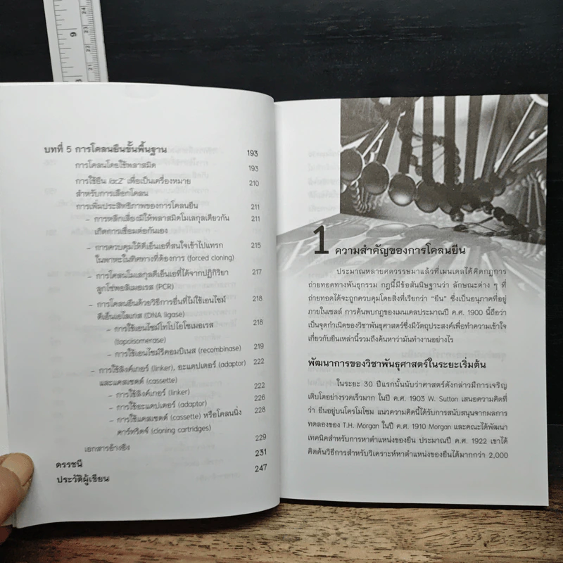 การโคลนยืนเบื้องต้น - มณีวรรณ สุขสมทิพย์ รูปที่ 11